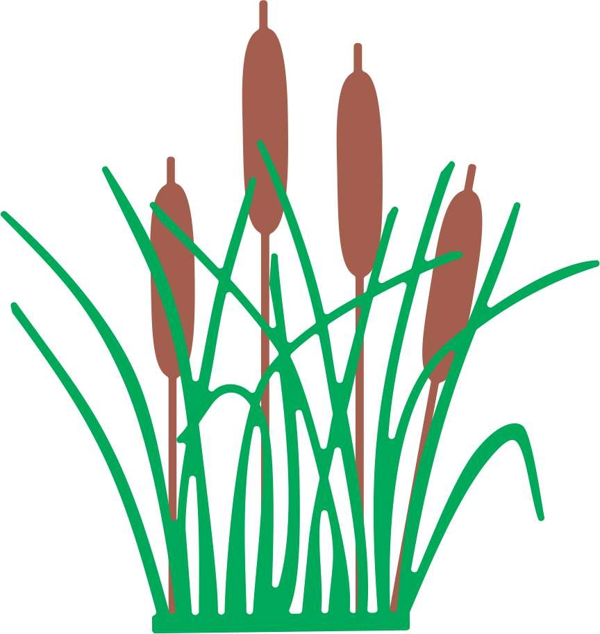 864x912 Cattails Clip Art Lemonize