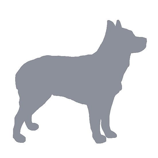 550x550 Australian Stumpy Tailed Cattle Dog Blue Silhouette Dog Breeds