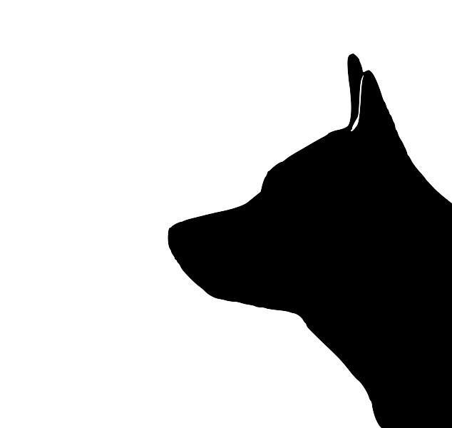 634x600 Australian Cattle Dog Portrait Silhouette Design Canvas Tote Bag