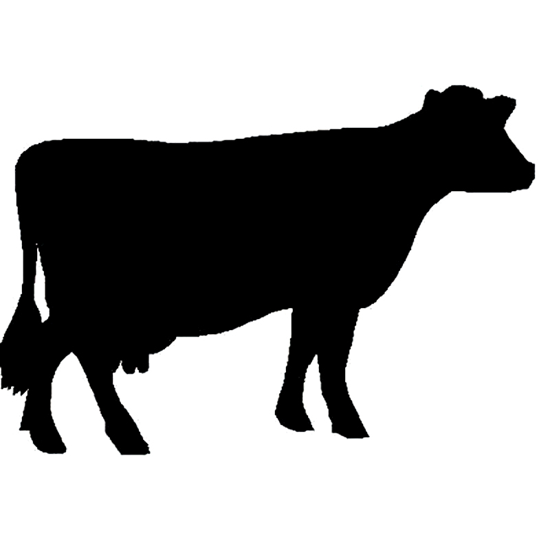 Show Cattle Silhouette at GetDrawings | Free download