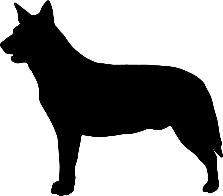 772x680 Australian Cattle Dog Clipart