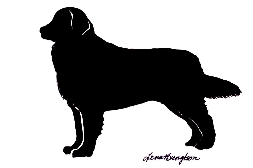 1020x677 My Pet Silhouette