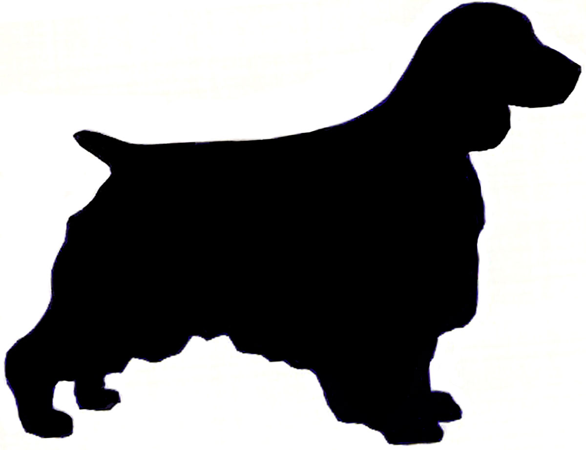 1200x923 Welsh Springer Spaniel Clipart