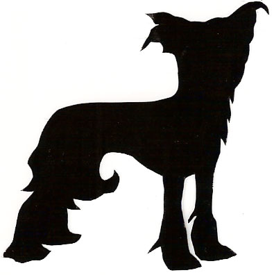 395x396 Border Collie