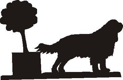 398x259 Cavalier King Charles Spaniel Hanging Basket Bracket