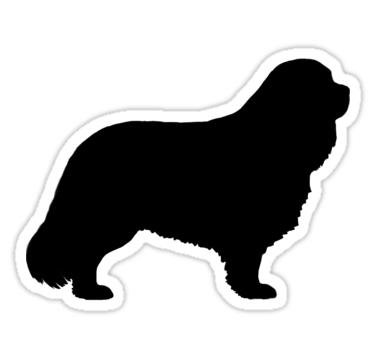 375x360 Cavalier King Charles Spaniel Silhouette And Silhouettes Pattern