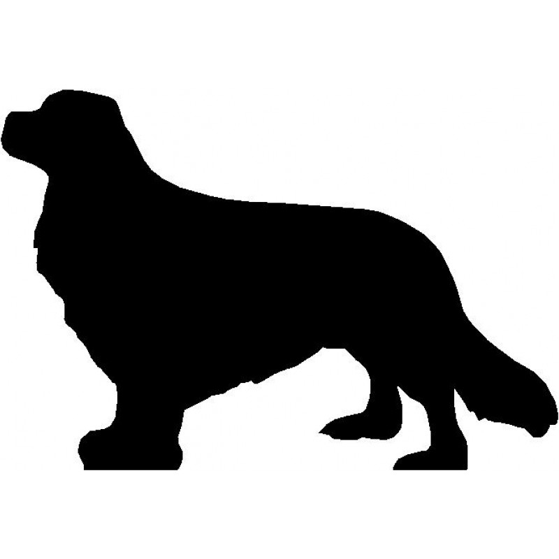 800x800 Dog Breed Silhouette Wall Hanging Magnetic Memo Cavalier King