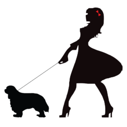 250x250 Allevamento Di Cavaliers King Charles Spaniel