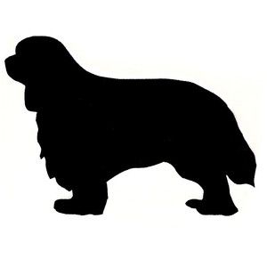 300x300 King Charles Cavalier Silhouette
