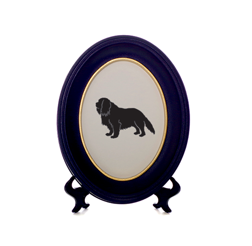 510x499 Cavalier King Charles Spaniel