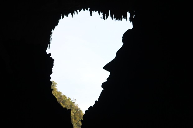 620x413 Mulu National Park, Borneo