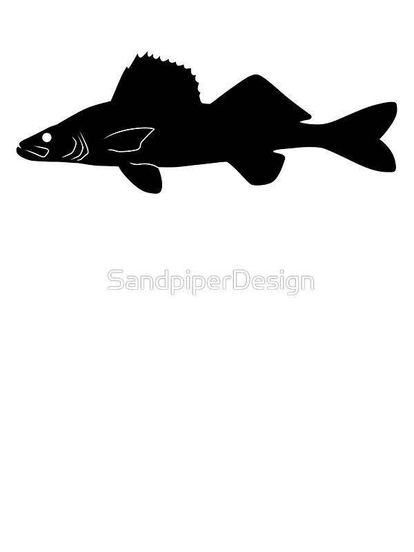 600x800 Walleye Pike Fish Silhouette (Black)' Sticker By Idrawsilhouettes