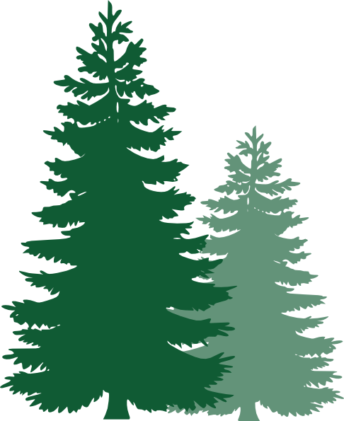 486x595 Winter Pine Tree Clip Art
