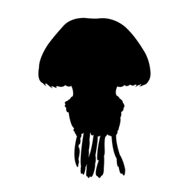 270x270 Clipart Jellyfish Silhouette Clip Art Download Free Versions