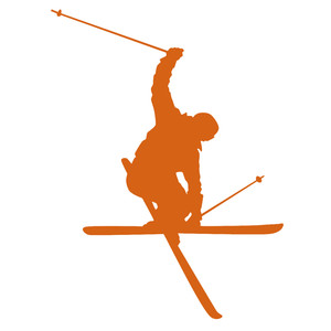 300x300 Silhouette Design Store