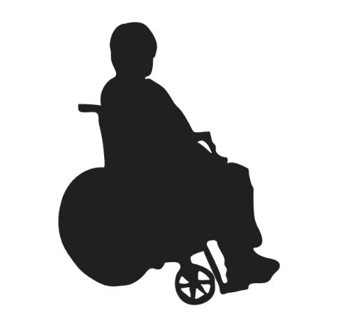 491x462 Clarion Small Steps Accessibility