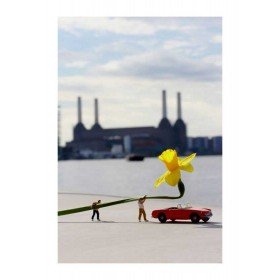 280x280 Roy's People Artrepublic