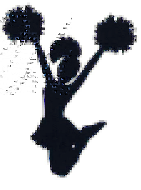 454x608 Cheer, Cheerfulness, Frontrunner, Girl, Lassie, Leader, Dress