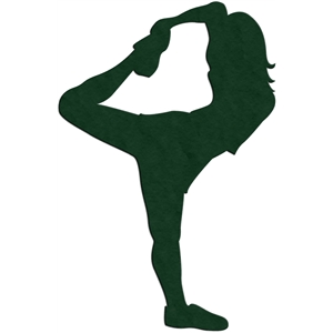 300x300 Silhouette Design Store