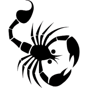 300x300 Cheerleading Scorpion Silhouette 9586