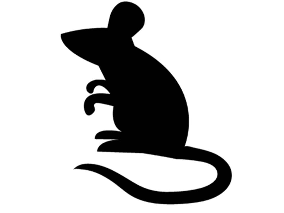 960x720 The Cheese Wheel Of Leadership Why Mondays Are Cool