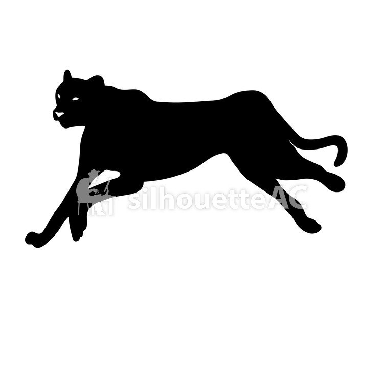 749x750 Free Silhouette Vector Mammals, Animal