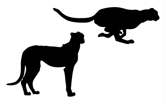 556x340 Free Silhouette Vector Africa, An Illustration