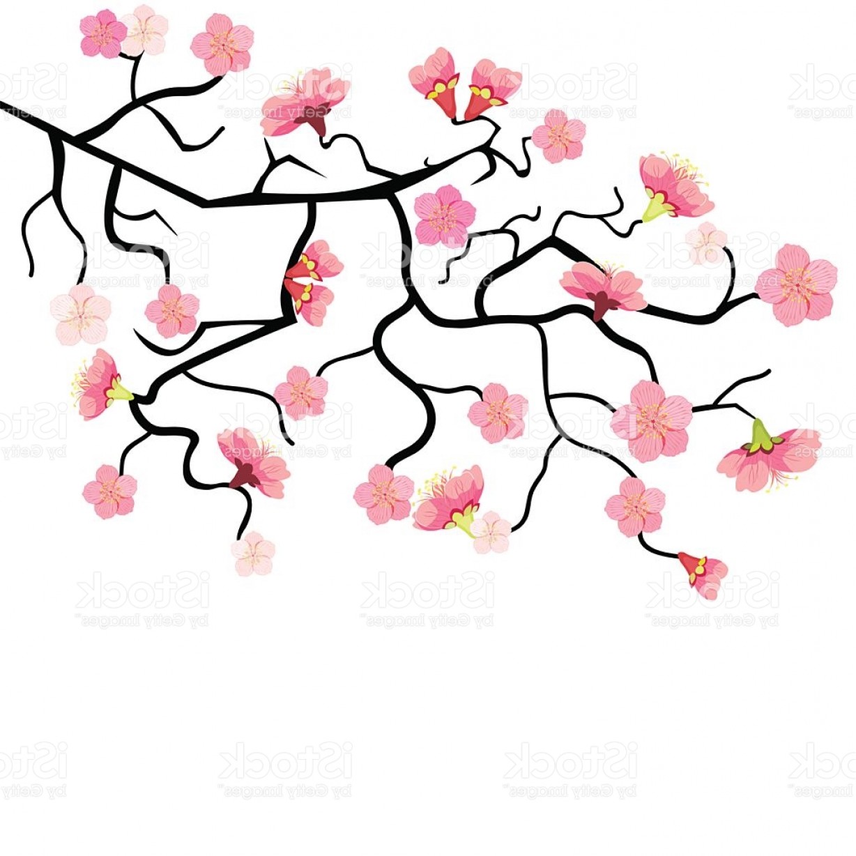 Cherry Blossom Silhouette at GetDrawings | Free download