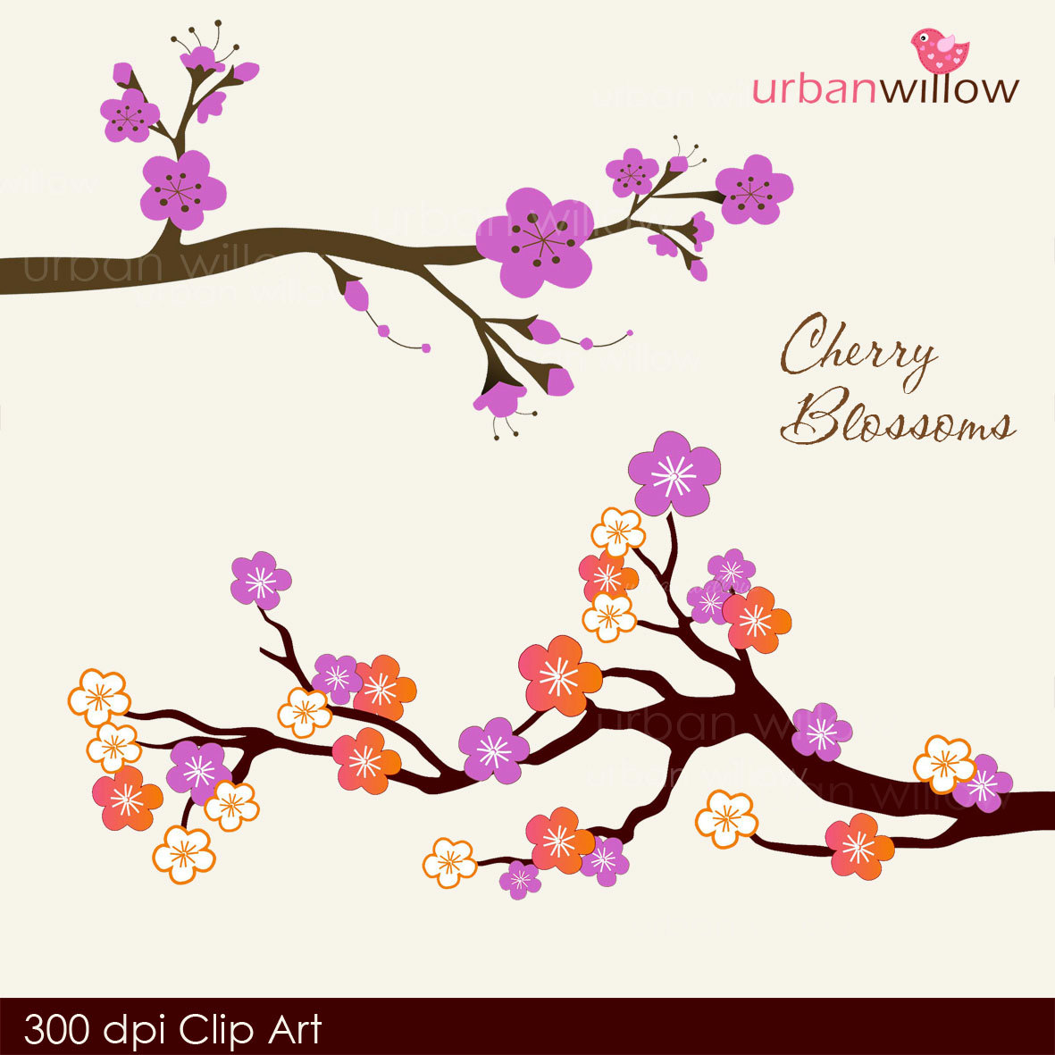 1181x1181 Cherry Blossom Clipart Purple 3149665
