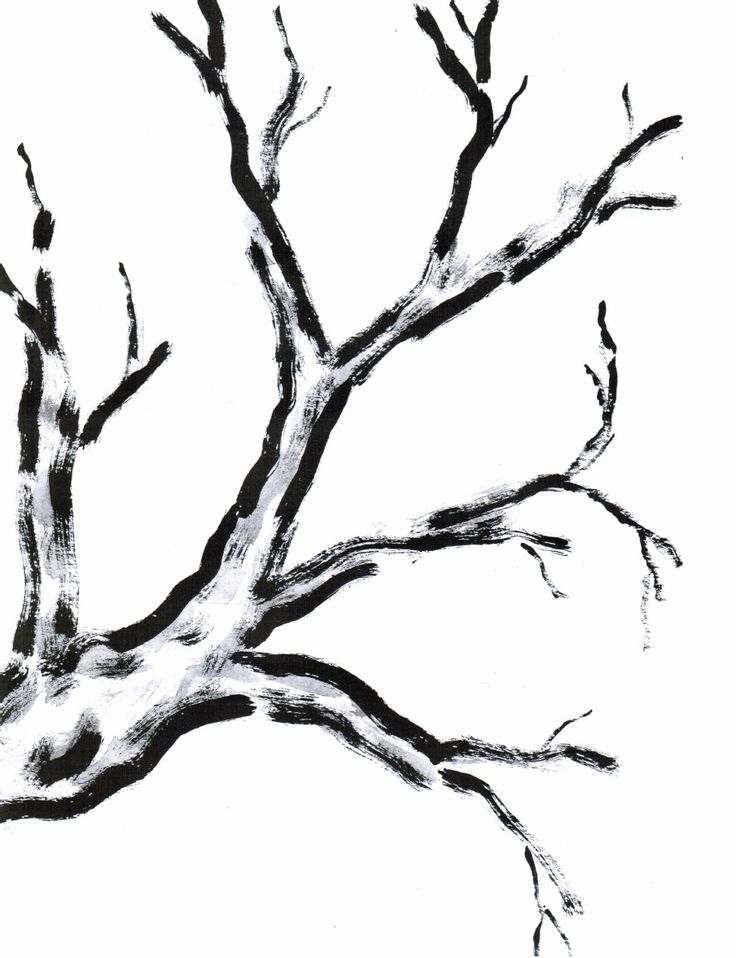 736x958 Cherry Blossom Tree Outline