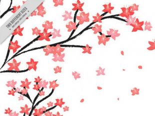 310x233 Japanese Cherry Blossom Background Free Vectors Ui Download