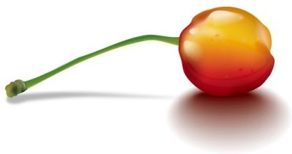 418x221 Cherry Blossom Free Vector Download (874 Free Vector)