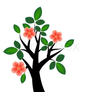 320x320 Realistic Cherry Blossom Branch Stock Vector Colourbox
