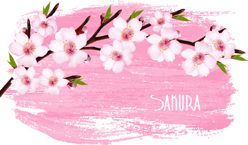 500x293 Sakura Free Vector Download (47 Free Vector) For Commercial Use