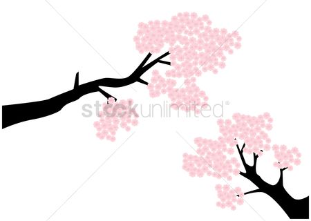 450x320 Free Cherry Blossom Tree Stock Vectors Stockunlimited