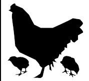 178x161 Chicken With Chicks Or Rooster Silhouette In By Asignofdesign