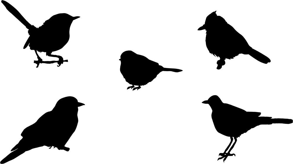 1000x560 Pin By Emily On Gate Number