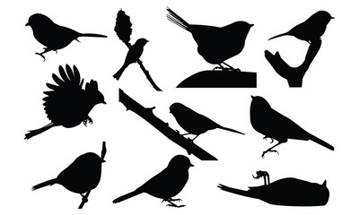 400x240 Search Photos Shadow Abstract