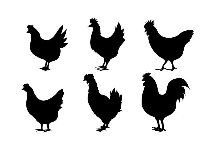 700x490 Chicken Silhouette Vectors