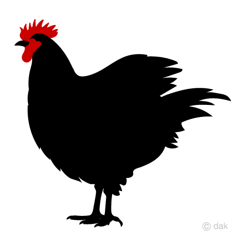 480x480 Free Chicken Silhouette Cartoon Amp Clipart Amp Graphics [Ii]