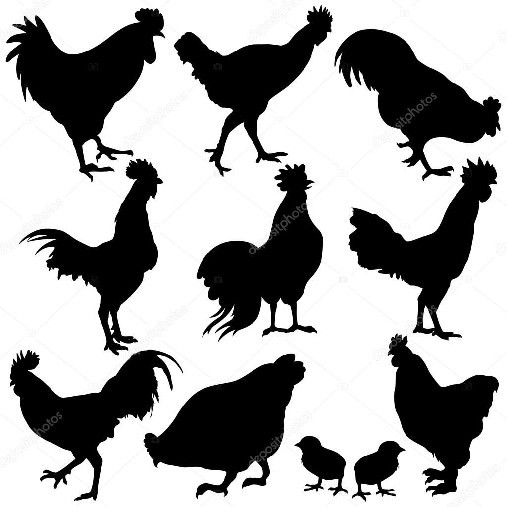 1024x1024 Chicken Silhouette Clipart Free Cricut Silhouettes