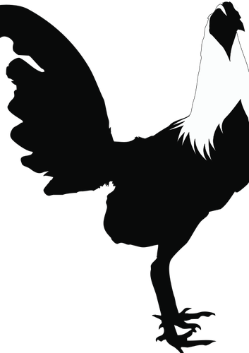 353x500 Rooster Silhouette Public Domain Vectors