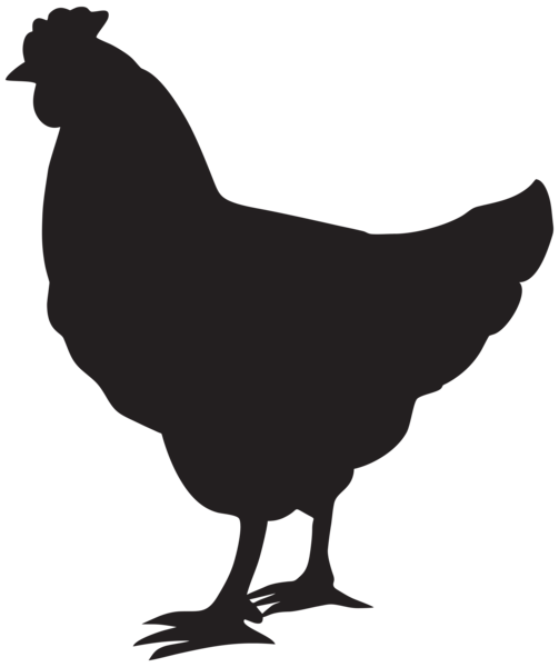 503x600 Chicken Hen Silhouette