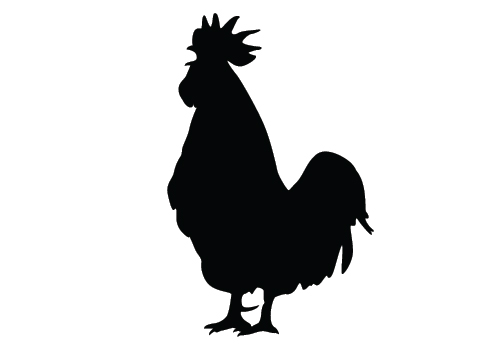 500x350 Chicken Silhouette Clip Art