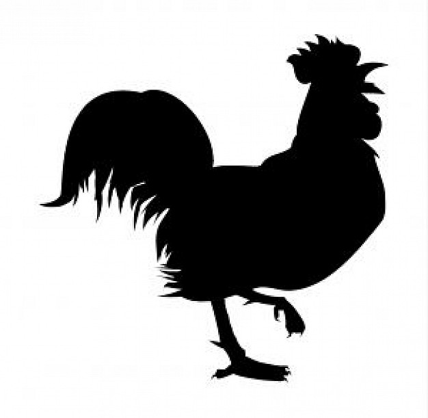 626x611 Chicken Silhouette Vectors, Photos And Psd Files Free Download