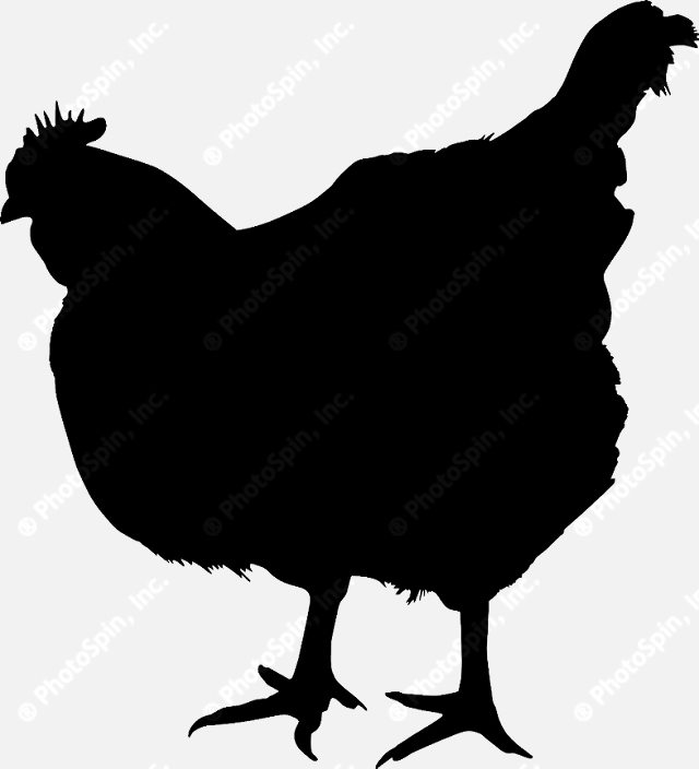 640x704 Image By Alexandr Rozhkov