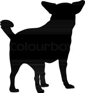 293x320 Vector Image Of An Chihuahua Puppies On White Background Stock