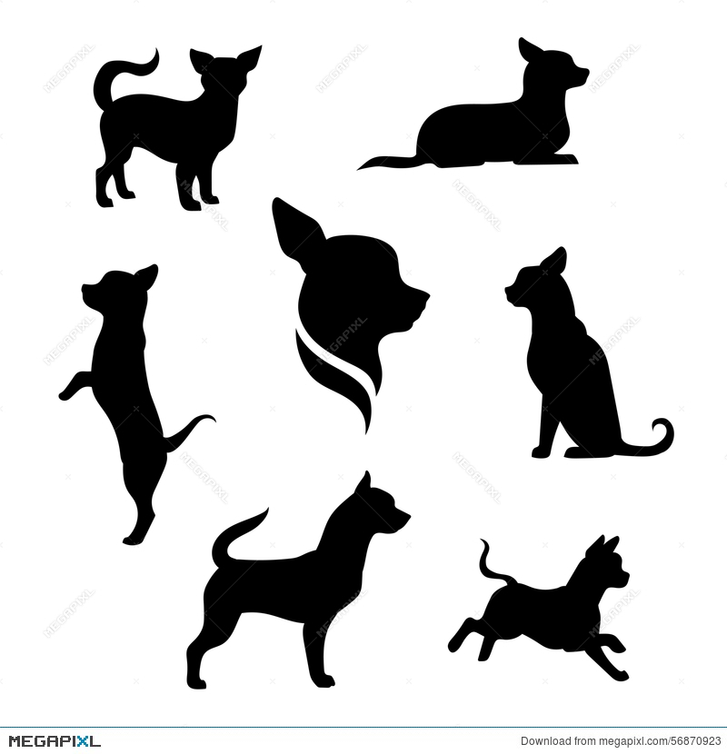 800x830 Chihuahua Dog Vector Silhouettes Illustration 56870923
