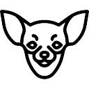 128x128 Chihuahua Vectors, Photos And Psd Files Free Download