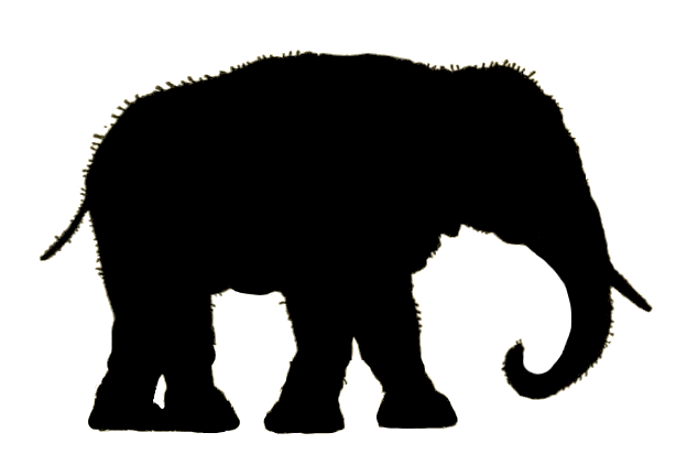 624x432 Telecanter's Receding Rules Silhouettes Xii